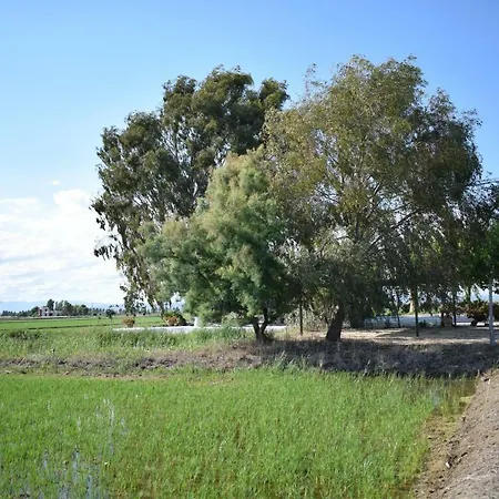 Lo Mas De Suriaca Villa El Poble Nou del Delta Buitenkant foto