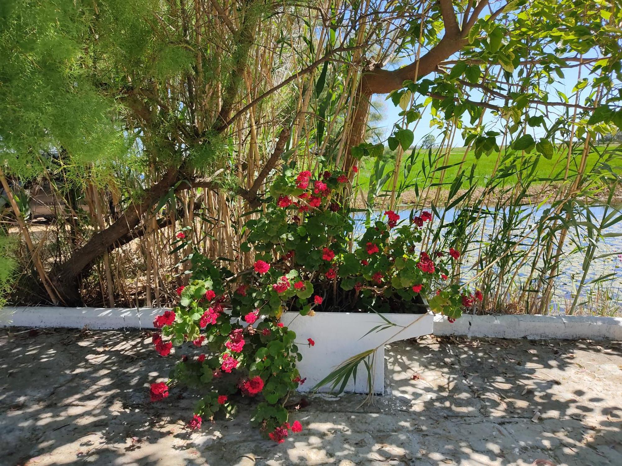 Lo Mas De Suriaca Holiday home